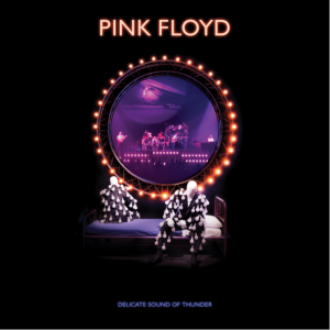 Pink Floyd - Delicate Sound Of Thunder (2CD)
